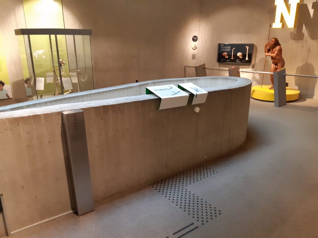 Detail van een tentoonstelling in het Neanderthal Museum, met een noppenveld voor een voelplattegrond op een half hoog muurtje.