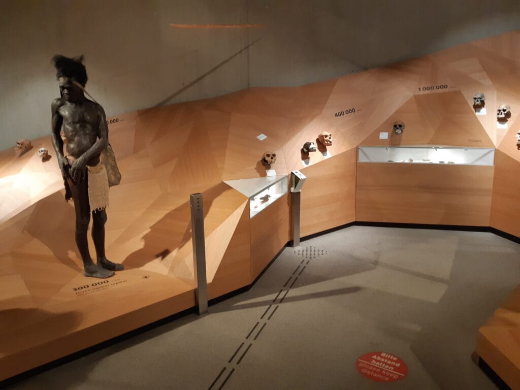 Geleideroute lopend naar voelobjecten, in dit geval schedels, in het museum.